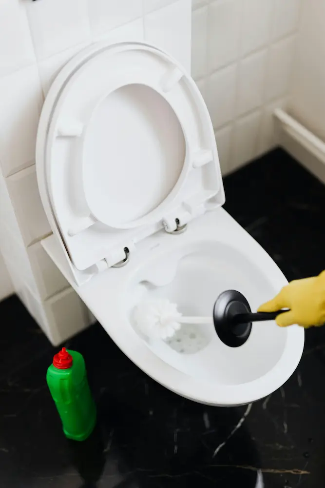 deboucheur-professionnel-wc Débouchage professionnel wc